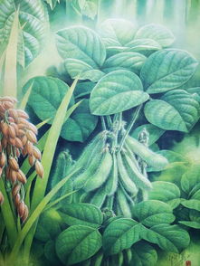 难得一见的2.5米植物科学画精品巨作 禾本科杂草（草）震撼亮相中国馆