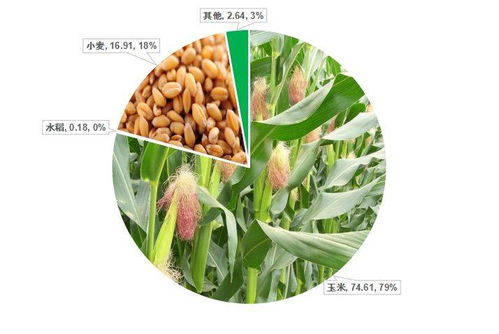 禾本科杂草（草）的识别与防治 基于中国农业大数据的洞察