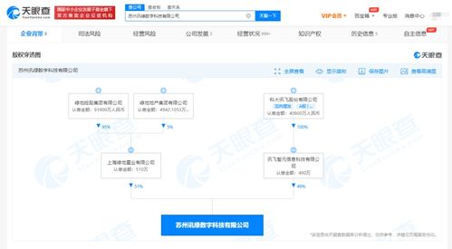 信息系统集成服务 连接数字未来的桥梁